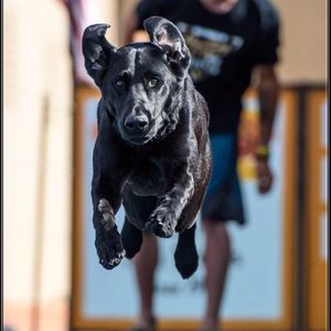 Meet your Posher, Ariana